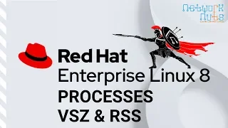 Linux Processes Memory Management - VSZ RSS