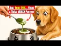Just Put THIS in Your Dog s Food Fleas Ticks Will VANISH Overnight 99 of Owners Don t Know