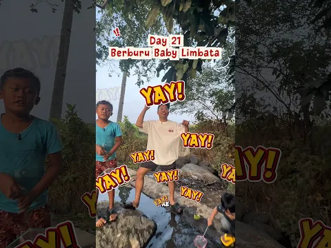 day 21 berburu baby limbata, lumayan dapet banyak udang buat makan maru nih  #bosbosqu #kontenlucu