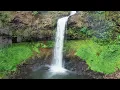 Nature Sounds Birds - Relaxing Nature Sounds - 24 Hour no ads