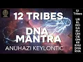 MANTRA-Heal 12 DNA STRANDS - 12 Tribes Founder Races