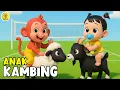 Lagu ANAK KAMBING SAYA - Lagu Anak Anak  - Lagu Anak \u0026 Balita Paling Viral Terbaru