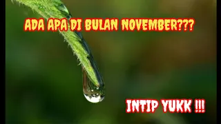 Download Musikalisasi puisi - November Rain |  puisi Defitha 2022 MP3