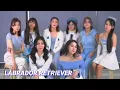 Download Lagu labrador retriever by mnl48 - acapella