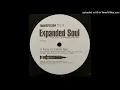 Download Lagu Expanded Soul – Summer Daze