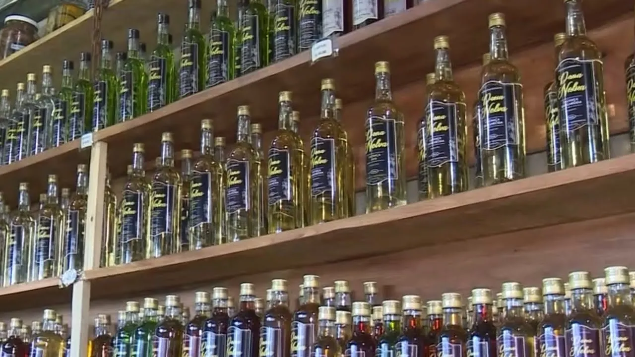 Rota do Gole promete fomentar o turismo, pesquisa e empreendedorismo em Quilombo