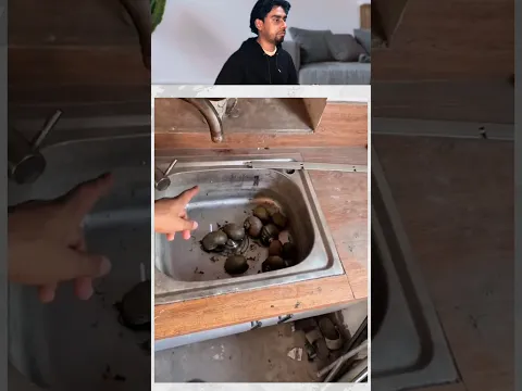 Snails ko pani de dea shehr main dihat