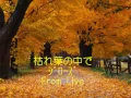 Download Lagu 枯れ葉の中で（ジローズさよならコンサートより）