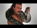 Jake Roberts Best Moments