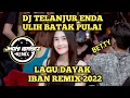 Download Lagu DJ TELANJUR ENDA ULIH BATAK PULAI  ( BETTY ) LAGU DAYAK IBAN REMIX TERBARU 2022
