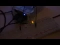 Interfacing with the Raspberry Pi Week 4 LED and PWM