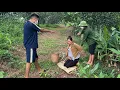 Download Lagu Terrifying! Single Mom 8 Months Pregnant Robbed by Two Cruel Men