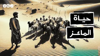 بالمختصر سر غضب السعودية من الفيلم الهندي حياة الماعز 