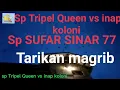 Download Lagu Sp  Tripel Queen vs inap koloni SUFAR SINAR 77 Viraallll 😱
