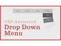 Drop Down Menu CSS Animations