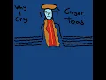 Why I Cry (Magnetic Fields Cover)