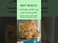 Download Lagu Niat Wudhu