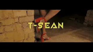 t sean ft bow chase young willy and mic burner balance it up