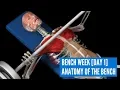 Bench Week Day 1 Anatomy of Bench Press