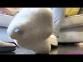 Giantess Feet