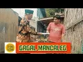 Download Lagu GAGAL MANCALEG | LAWAK MINANG