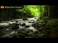 15 Minute Meditation Music, Calm Music, Relax, Meditation, Stress Relief, Spa, Study, Sleep, ☯3527B