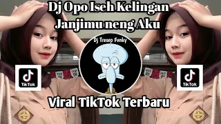 dj opo iseh kelingan janjimu neng aku x pangapurane kang mas yen wes ngelarani atimu viral tiktok