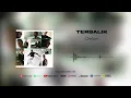 Delon - Terbalik (Official Audio)