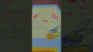 مشروع خلية النحل للسنة الثانية متوسط 