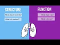 Structure vs Function in Biology-How are they different