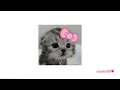 Slow down - Bobby V. (sped up)