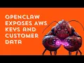 OpenClaw AI Agent Falls for Phishing Attacks and Leaks Sensitive Data in Security Tests