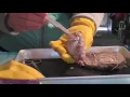 Sheep Brain Dissection and structures