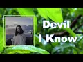 Download Lagu Allie X - Devil I Know (Lyrics)