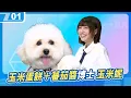 Download Lagu 玉米蛋餅一定要加蕃茄醬，玉米博士「玉米妮」的語言復健運動；香檳超可愛！｜6tan、鳥屎 Feat.溫妮｜現在宅知道 VOD｜20250618｜P1