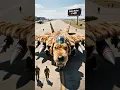 Download Lagu Alleen in Amerika: een straalvliegtuig met spieren en tanden 🇺🇸 #vliegtuig #vliegtuig #vliegtuig ...