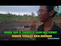 Download Lagu WAW MANTAP INI LAH MOMEN YANG DI TUNGGU MAS ROHMAT SUDAH BIKIN BEDENGAN
