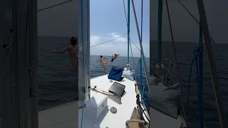 Risking it all for the shot