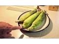Microwave Corn on the Cob No Shucking Silk-Free