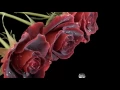 Download Lagu Scorpions - Born To Touch Your Feelings (lyrisc)