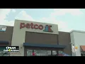 I-Team s Call For Action Helps Woman With Hacked Petco E-Gift Card