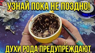 💥УЗНАЙ ПОКА НЕ ПОЗДНО❗ ДУХИ РОДА🙏 СПЕШАТ ПРЕДУПРЕДИТЬ ТЕБЯ...💯❗ Послание на кофейной гуще☕🧿