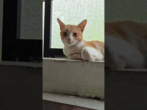സുന്ദരനാണോ 🥹