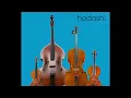 Weezer - Buddy Holly (Acoustic / Orchestral cover by hadashi)