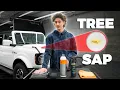How To Safely Remove Tree Sap On Your Car s Paint