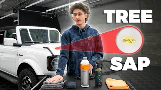 How To Safely Remove Tree Sap On Your Car s Paint