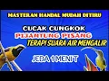 Download Lagu CUNGKOK LANJUT PIJANTUNG PISANG + SUARA AIR MENGALIR || JEDA 1 MENIT