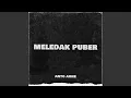 Meledak Puber
