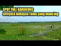 MARI KITA COBA❗INFONYA SPOT MANCING INI IKANNYA MANTAP‼️Sawah Gendong Atau Rawa Laren Lamongan