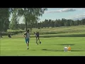 Download Lagu Moose Chases Golfer in Sweden